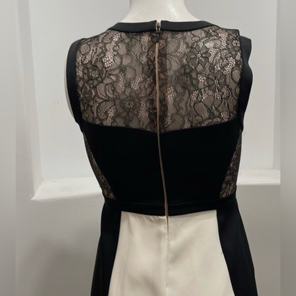 BCBG Black and Cream Maxi Dress - Picture 6 of 9